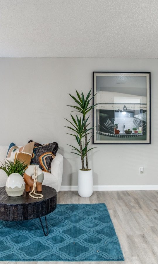 a living room with a blue rug and white furniture at The  Booker